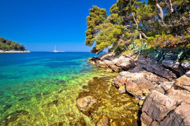 Cavtat pastoral turkuaz taş Beach'de