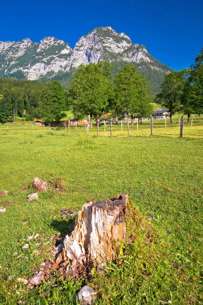 ベルヒテスガデンアルパイン地域のラムサウ渓谷の風景 — ストック写真