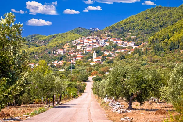 Korčula. Vesnice Cara v zeleném ostrově krajina pohled, — Stock fotografie