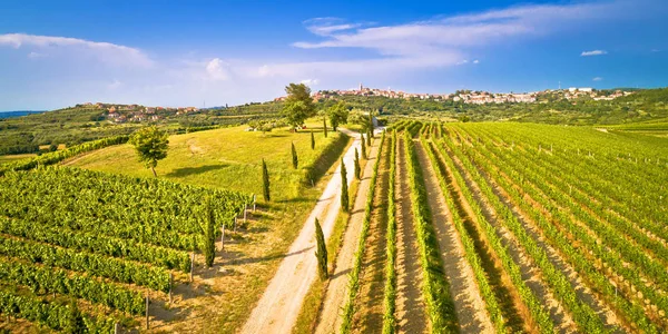 Istrian αμπελώνα περιοχή εναέρια θέα. Πόλη Buje πράσινο landscap — Φωτογραφία Αρχείου