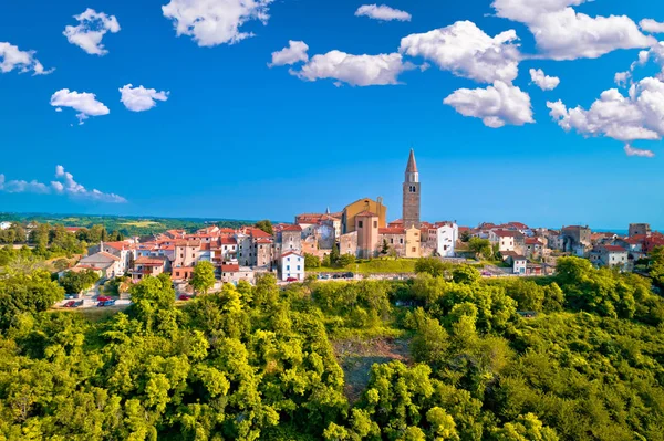 Alte Steinstadt Buje auf dem grünen Hügel Luftaufnahme — Stockfoto