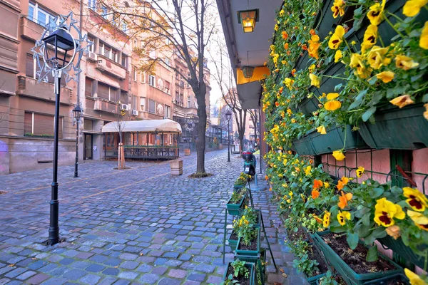 Belgrade. Famous Skadarlija old cobbled streets in historic Beog — Stock Photo, Image