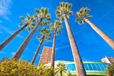 Monte Carlo manzaralı Palm Rıhtımı, Monako Prensliği