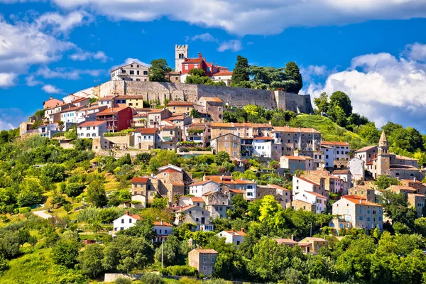 Motovun Vagyok Festői Történelmi Város Motovun Idilli Zöld Dombon Belvízi — Stock Fotó