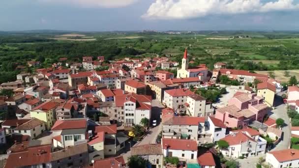 Ίστρια. Πόλη του Brtonigla στο πράσινο λόφο istrian εναέρια drone άποψη βίντεο, περιοχή Istria της Κροατίας — Αρχείο Βίντεο