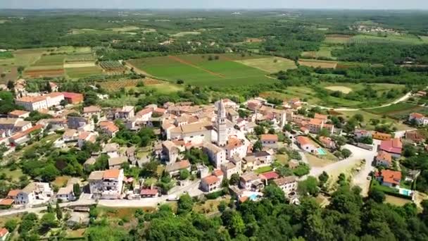 Istrien. Stadt Visnjan auf dem grünen istrischen Hügel, Drohnenaufnahmen, Region Istrien in Kroatien — Stockvideo