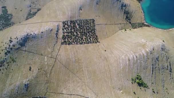 Parc national de l'archipel de Kornati paysages étonnants et oliviers images aériennes, région de Dalmatie en Croatie 