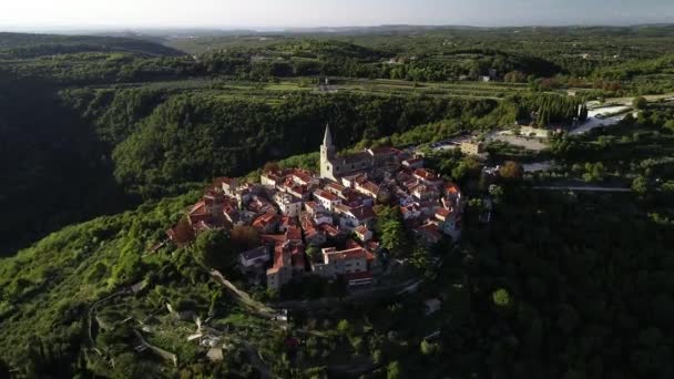 Groznjan Antiguo Pueblo Colina Groznjan Vista Panorámica Aérea Colonia Artistas — Vídeo de stock