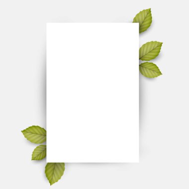 Beyaz sayfa boş kağıt ve yeşil taze bahar yaprakları