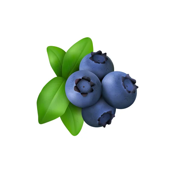 蓝莓手绘图标 — 图库矢量图片