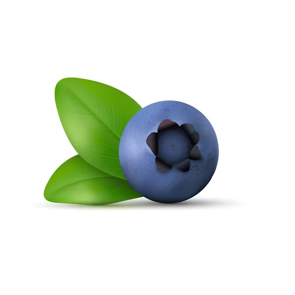 Ícone desenhado à mão Blueberry — Vetor de Stock