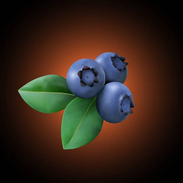 Handgezeichnetes Symbol für Blaubeeren — Stockvektor