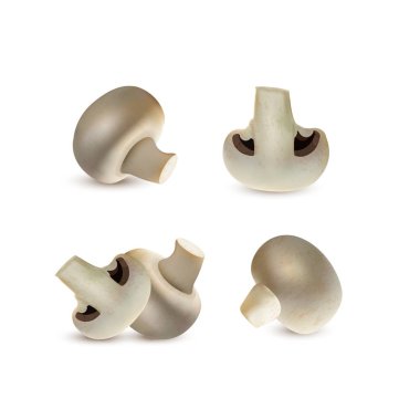 yenilebilir mantar kümesi