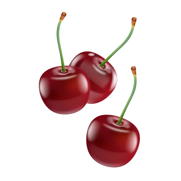 三个成熟的红樱桃 — 图库矢量图片