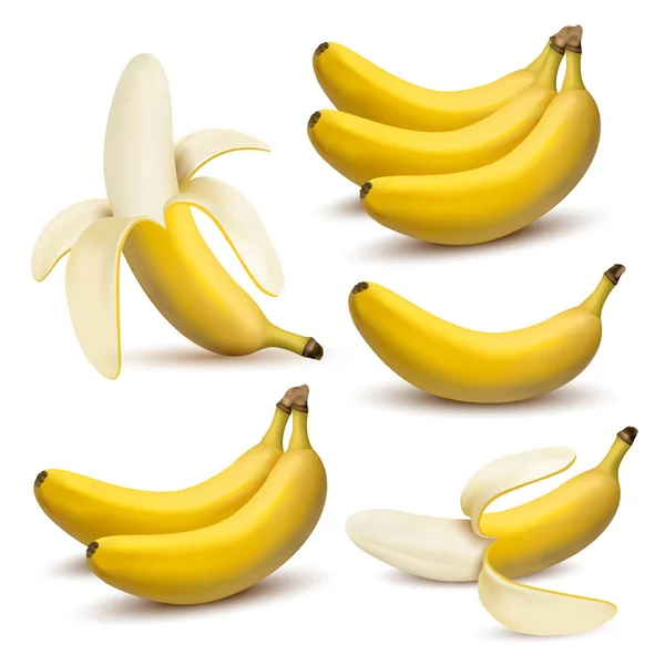 Realistic yellow bananas — Stock Vector