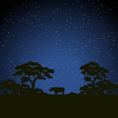 Yıldızlı gece sahne Afrika manzara 