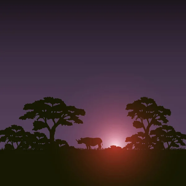 Zonsondergang scène Afrikaanse landschap — Stockvector