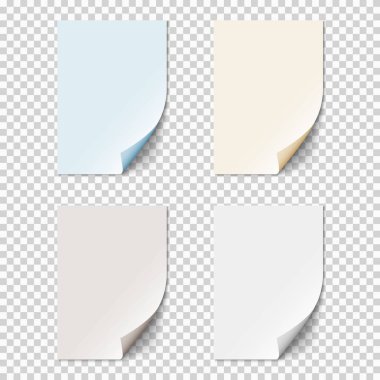 Boş kağıt sayfalarının kıvrılmış köşeli kümesi. Saydam arka plan üzerinde gerçekçi boş katlanmış sayfa. Vektör şablonu