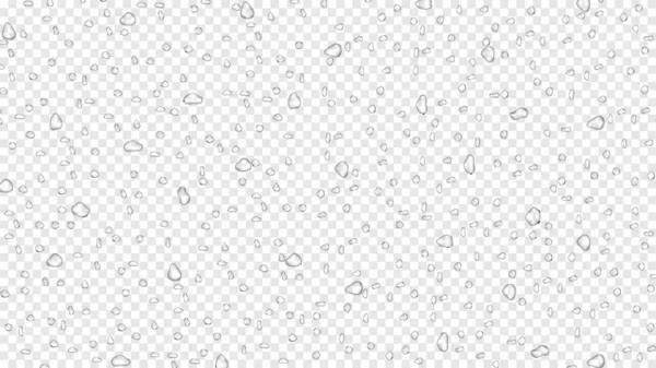 Water Rain Drops Transparent Background Realistic Style Vector Elements Clean — Stock Vector