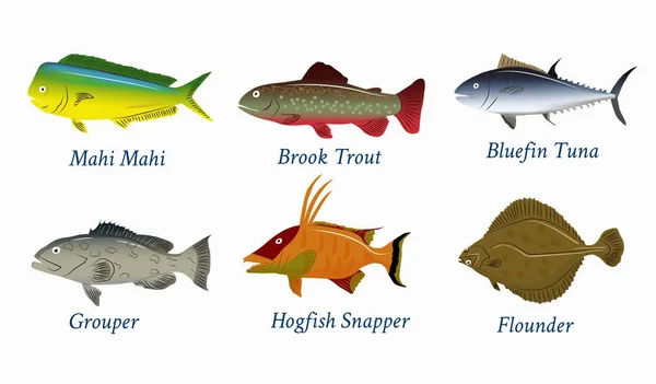 Zestaw ryb. Ilustracja wektorowa różnych rodzajów ryb. Na białym tle. — Wektor stockowy
