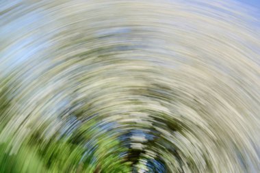 Alıç ağacı - soyut Spiral etkisi arka plan