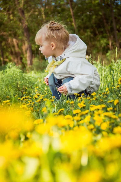 Bahar günü dandelions çayır üzerinde küçük kız