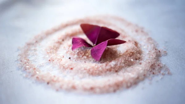 Himalaya pembe tuz beyaz masada