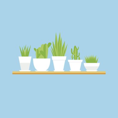 Vektör houseplants düz set. 