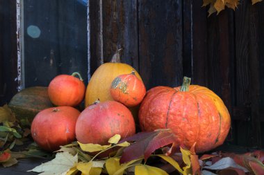 Eski koyu ahşap arka plan üzerinde büyük parlak turuncu kabak