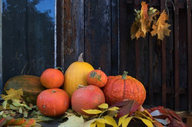 Eski koyu ahşap arka plan üzerinde büyük parlak turuncu kabak