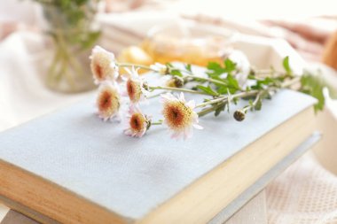 Kasımpatı çiçekleri ve masanın üzerine kitaplar