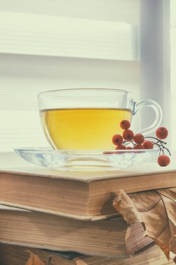 Fincan çay, eski kitaplar, sonbahar yaprakları ve meyveleri
