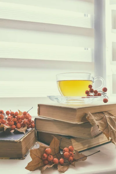 Cup of tea, old books, autumn leaves and berries — Stock Photo, Image