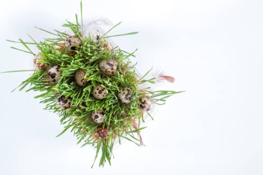 Paskalya tatili yeşil öznitelikleri setleri