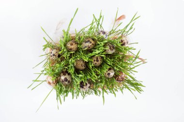 Paskalya tatili yeşil öznitelikleri setleri