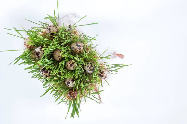 Paskalya tatili yeşil öznitelikleri setleri