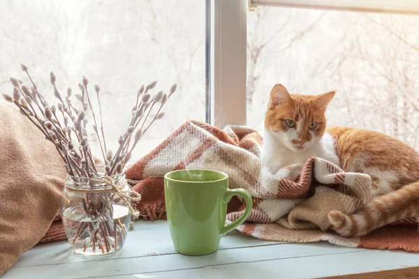 Kopje koffie op de vensterbank — Stockfoto