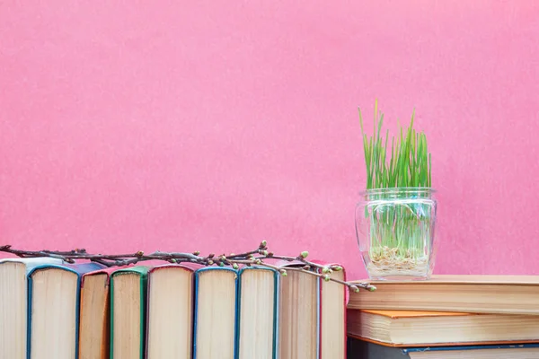Gekiemde tarwe in glazen pot op boeken — Stockfoto