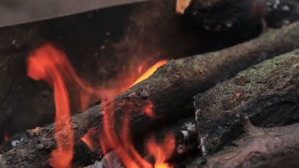 火で焦がされた木は。炎の非常に熱い木。スローモーション映像 — ストック動画