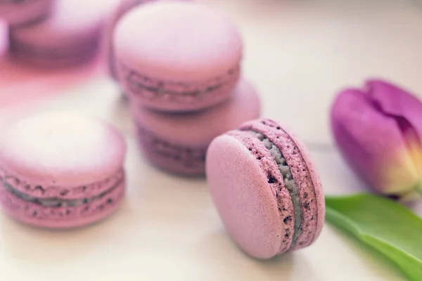 Macarons sucrés violets et tulipes fraîches — Photo