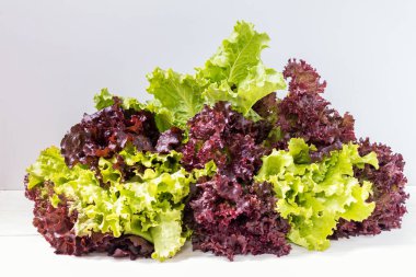 Taze Lollo Rosso ve yeşil marul yaprakları