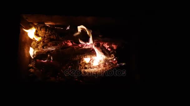 Firewood in the dancing flame — Stock Video