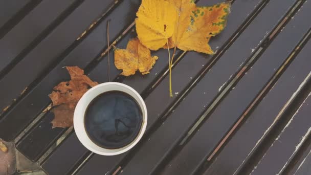 Café para llevar con hojas amarillas en el parque de otoño . — Vídeo de stock