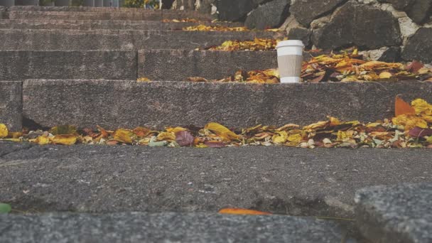 Kaffe att gå med gula blad i höst park. — Stockvideo