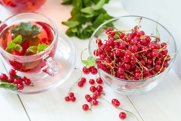 Fresh redcurrant in transparent glass vase — Stock Photo, Image