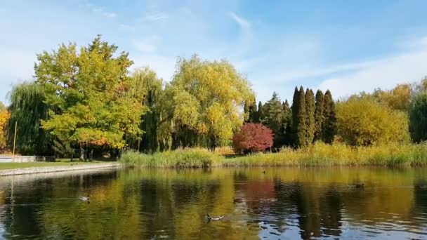 Parco cittadino autunnale. Parco in autunno . — Video Stock