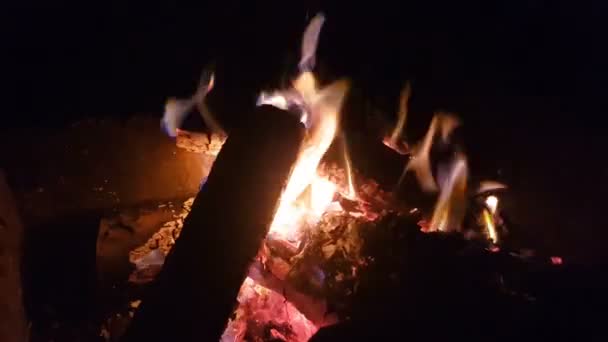 Charred wood in the fire. Burning wood in bright flames in the dark. Copy space. — Stock Video