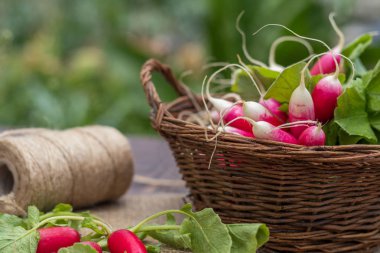 Masanın üzerinde bir hasır sepet içinde turp demet