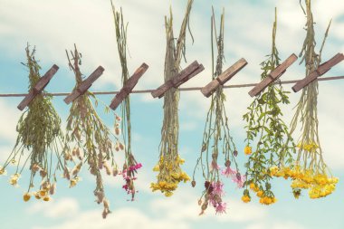 Herbs dried in the shade on a rope clipart