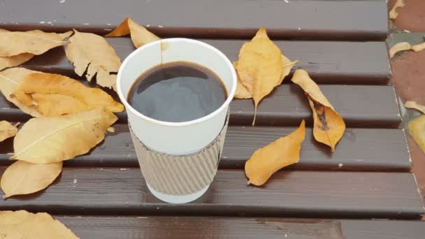 持ち帰りコーヒー。秋の公園で黄色の葉のベンチに行きコーヒー。4 k ビデオ. — ストック動画